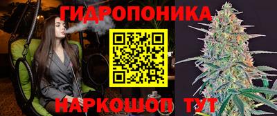 ПСИЛОЦИБИНОВЫЕ ГРИБЫ Лесосибирск