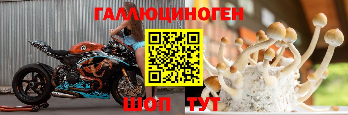 Псилоцибиновые грибы мухоморы Урус-Мартан
