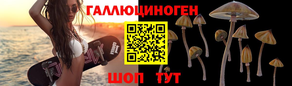 Галлюциногенные грибы Cubensis  Вход с VPN  Урус-Мартан 